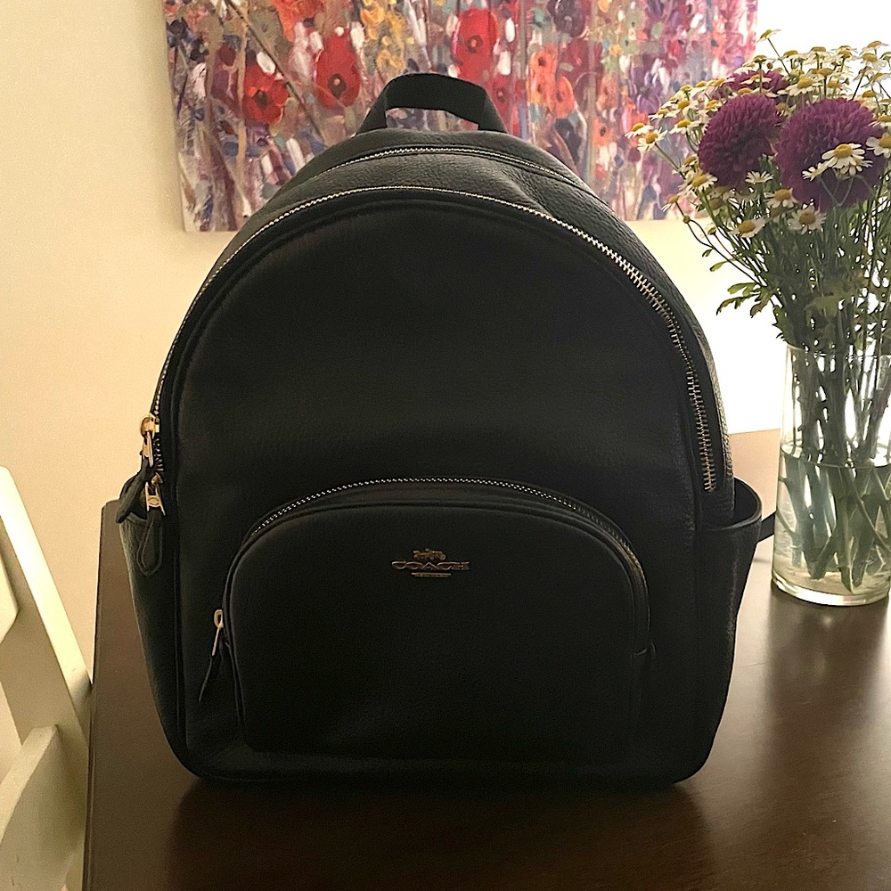Coach backpack (medium sized), leather material.